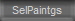 SelPaintgs