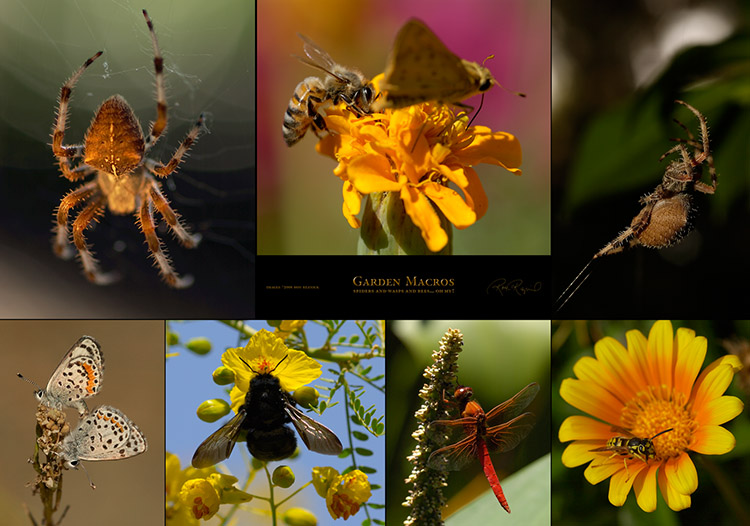 Garden_Macros