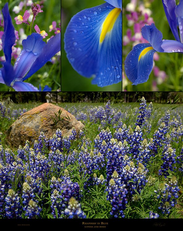 Rhapsody_inBlue