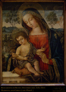 Pinturicchio_Madonna+Child_X0543c