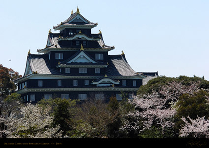 Okayama_Castle_Korakuen_0373