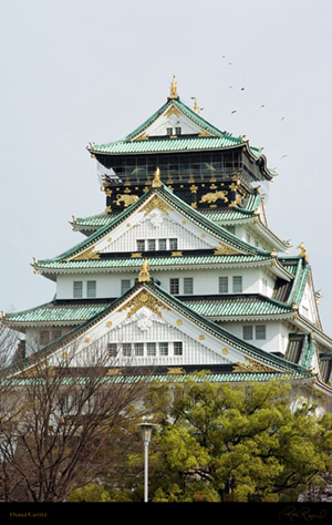 Osaka_Castle_8902