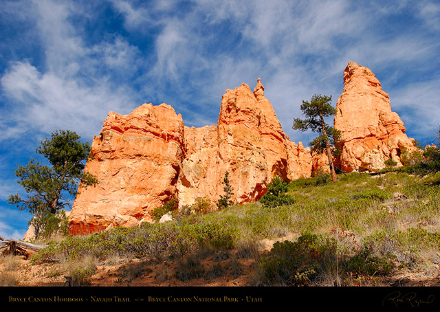 Bryce_Canyon_Hoodoos_Navajo_Trail_1895