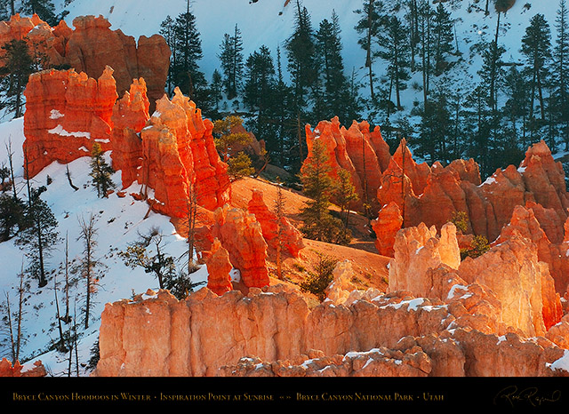 Bryce_Canyon_Hoodoos_at_Sunrise_in_Winter_5511