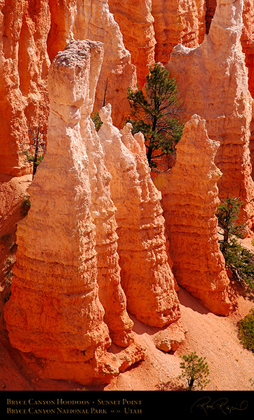 Bryce_Canyon_Hoodoos_Sunset_Point_1967
