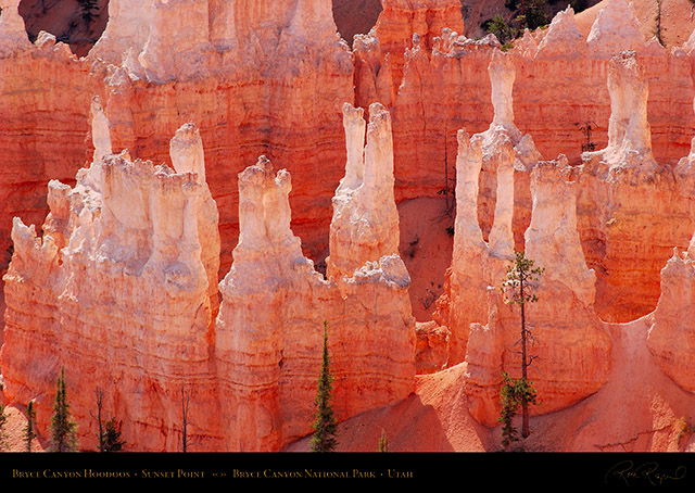 Bryce_Canyon_Hoodoos_Sunset_Point_1981