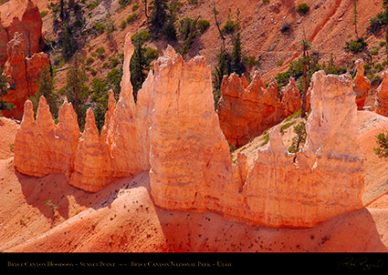 Bryce_Canyon_Hoodoos_Sunset_Point_1982