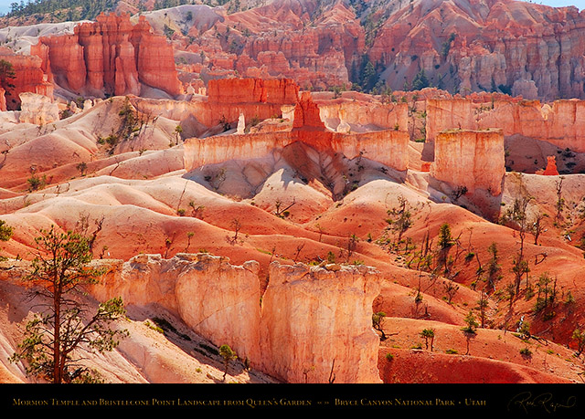 Bryce_Canyon_Landscape_Mormon_Temple_6679