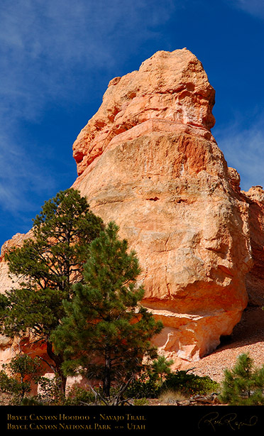 Bryce_Canyon_Hoodoo_Navajo_Trail_1879