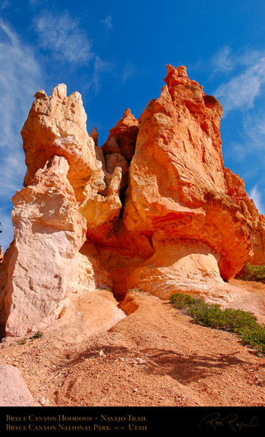 Bryce_Canyon_Hoodoos_Navajo_Trail_1896