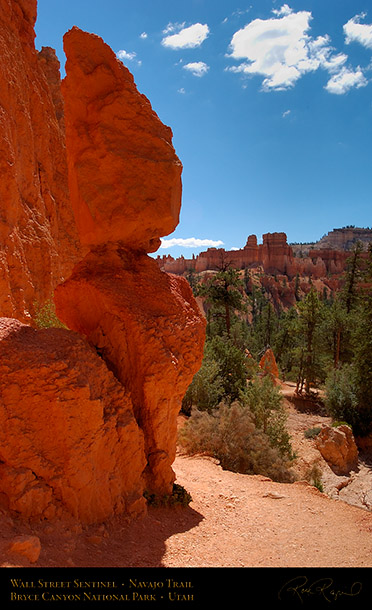Bryce_Canyon_Sentinel_Navajo_Trail_6757
