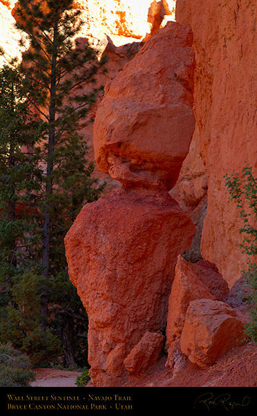 Bryce_Canyon_Sentinel_Navajo_Trail_X2022