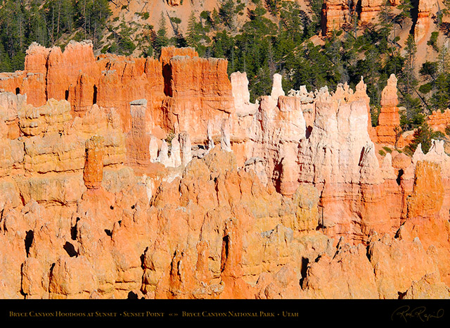 Bryce_Canyon_Hoodoos_Sunset_Point_X1871