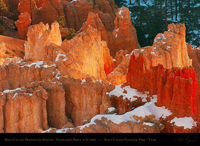 Bryce_Canyon_Hoodoos_at_Sunrise_in_Winter_5497