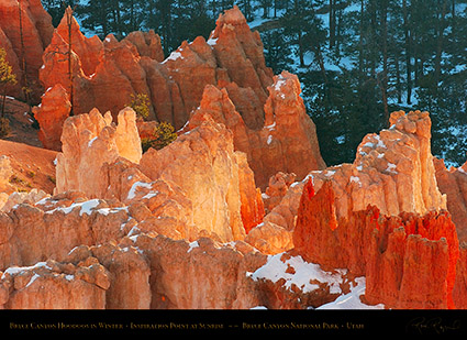 Bryce_Canyon_Hoodoos_at_Sunrise_in_Winter_5498