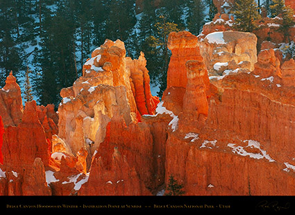 Bryce_Canyon_Hoodoos_at_Sunrise_in_Winter_5517