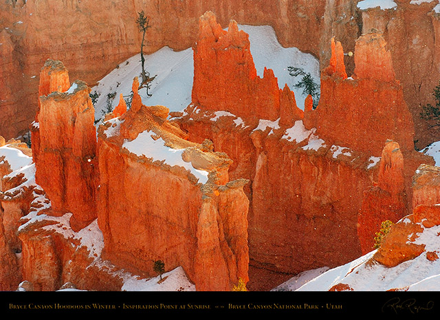 Bryce_Canyon_Hoodoos_at_Sunrise_in_Winter_5519