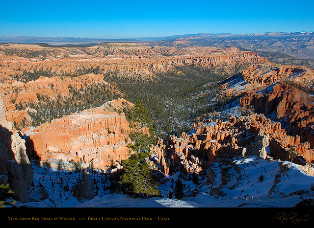Bryce_Canyon_Rim_View_in_Winter_5289
