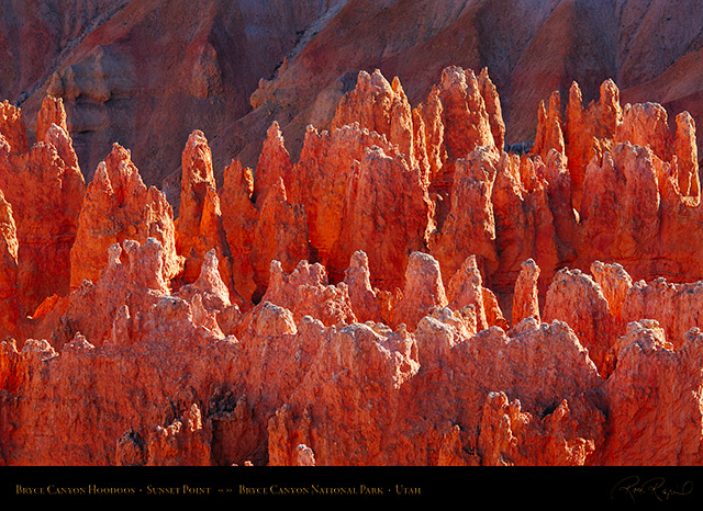 Bryce_Canyon_Hoodoos_Sunset_Point_X1877
