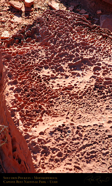 Solution_Pockets_Capitol_Reef_1355