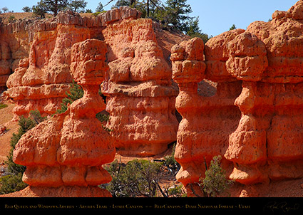Red_Canyon_Red_Queen_Windows_Arches_Trail_0725