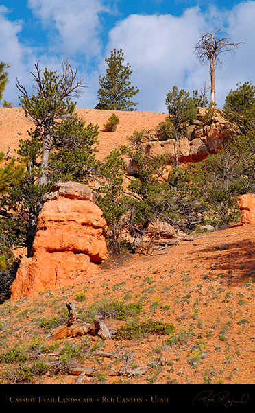 Red_Canyon_Cassidy_Trail_Landscape_X2176