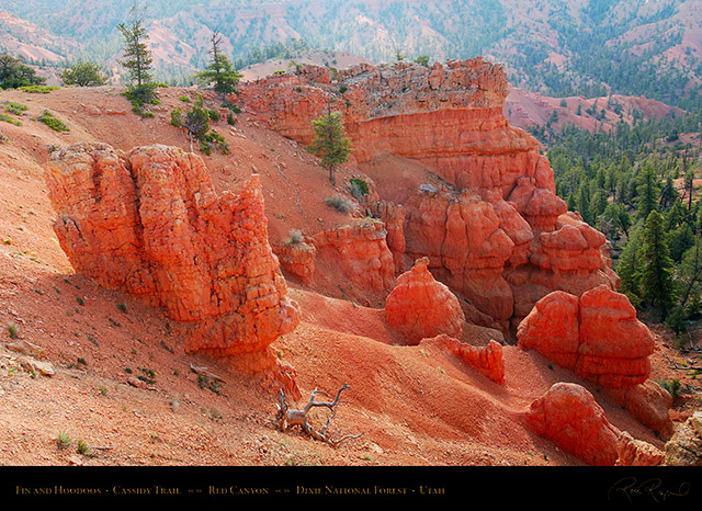 Red_Canyon_Fin_Hoodoos_Cassidy_Trail_X2216