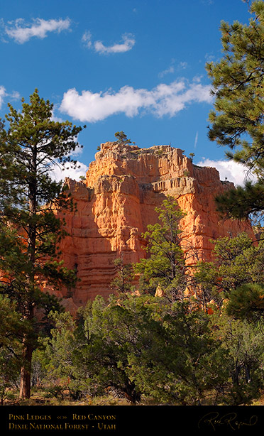 Red_Canyon_Pink_Ledges_1006