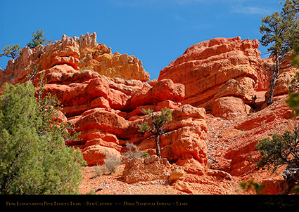 Red_Canyon_Pink_Ledges_2009