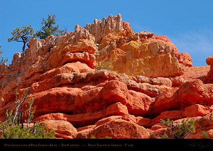 Red_Canyon_Pink_Ledges_2014