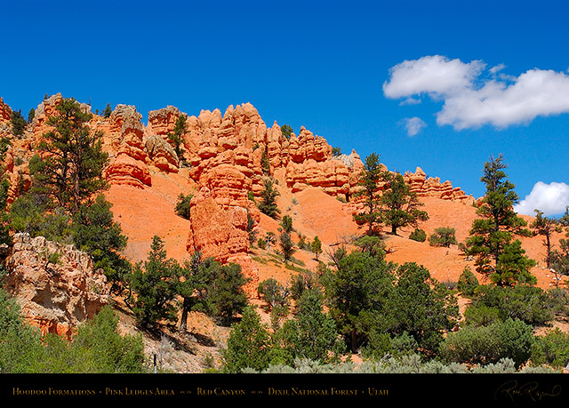 Red_Canyon_Pink_Ledges_6446