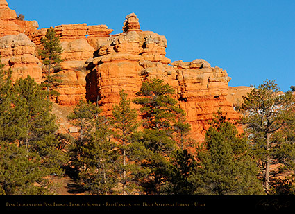 Red_Canyon_Pink_Ledges_Sunset_5466