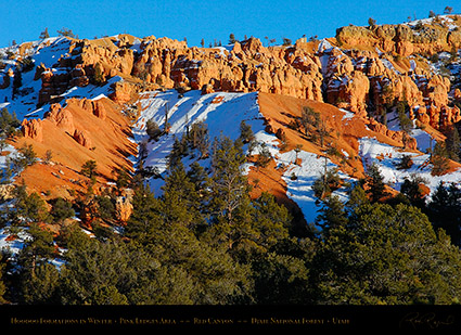 Red_Canyon_Pink_Ledges_Winter_5478