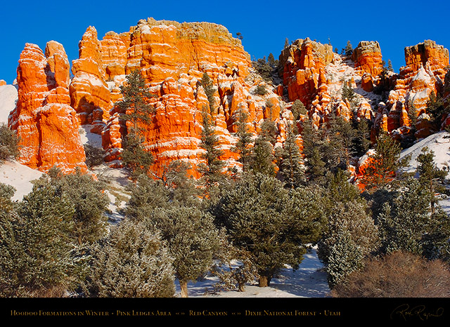 Red_Canyon_Pink_Ledges_Winter_5555