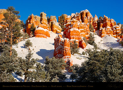 Red_Canyon_Pink_Ledges_Winter_5563