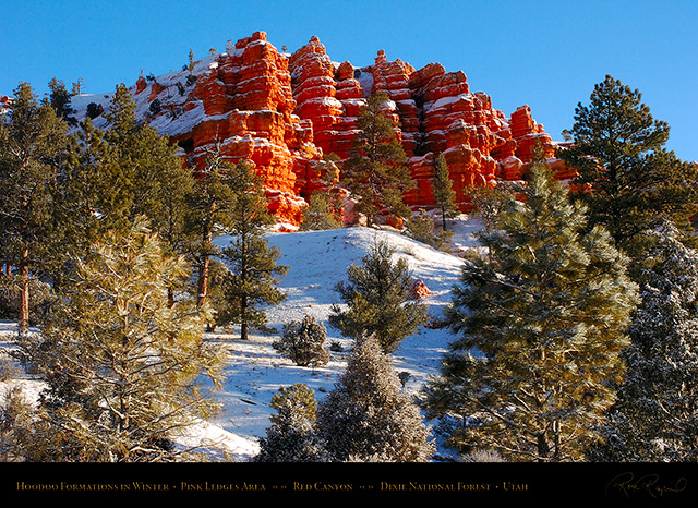 Red_Canyon_Pink_Ledges_Winter_5568