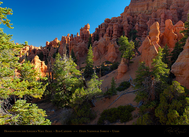 Red_Canyon_Hoodoos_Golden_Wall_Trail_X5711