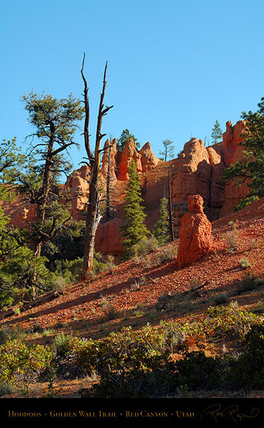 Red_Canyon_Hoodoos_Golden_Wall_Trail_X5724