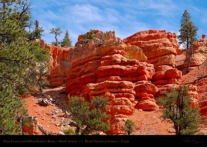Red_Canyon_Pink_Ledges_2006
