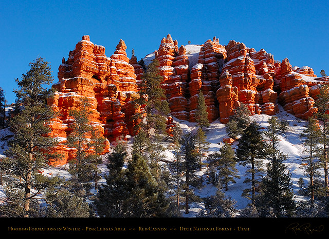Red_Canyon_Pink_Ledges_Winter_5569