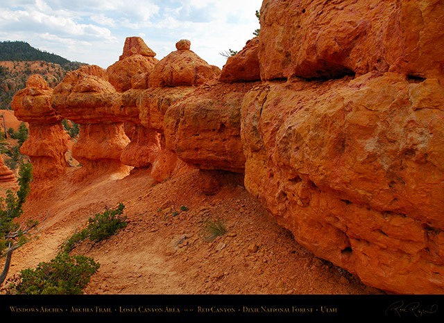 Red_Canyon_Windows_Arches_Trail_X2342