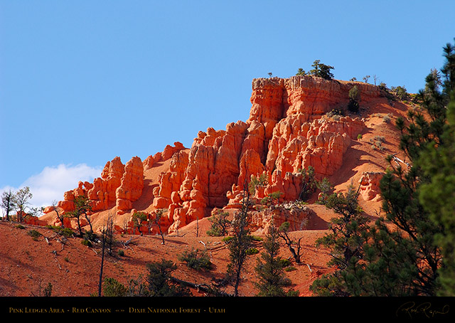Red_Canyon_Pink_Ledges_1273