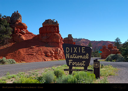 Red_Canyon_5959