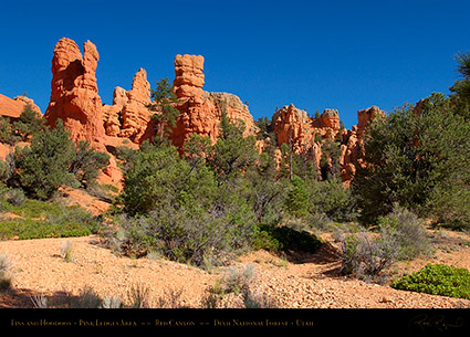 Red_Canyon_5963