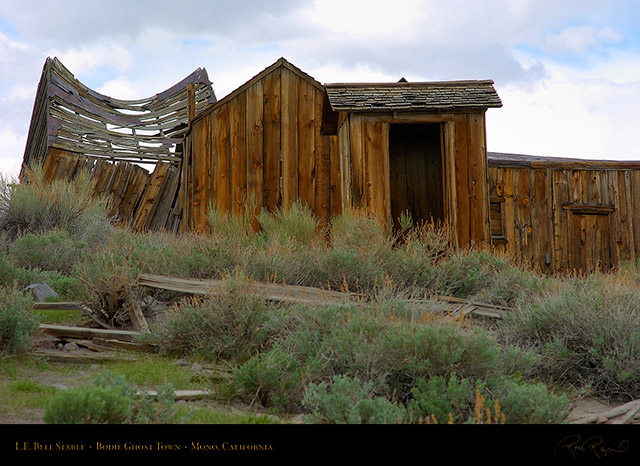 Bodie_LE_Bell_Stable_3263