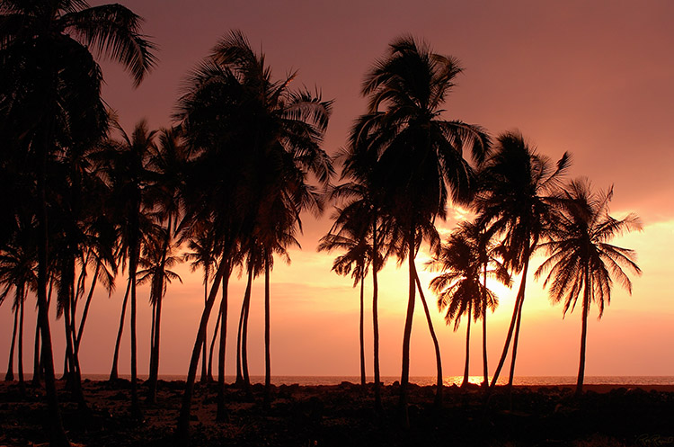 Sunset Pu'uhonua o Honaunau HS7358s
