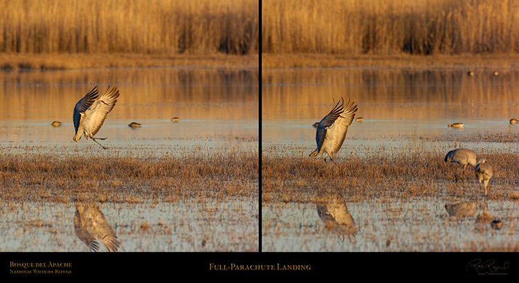 Full_Parachute_Landing Full_Parachute_Landing