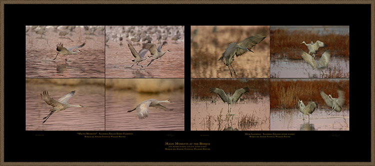 MagicMoments_atBosque MagicMoments_atBosque