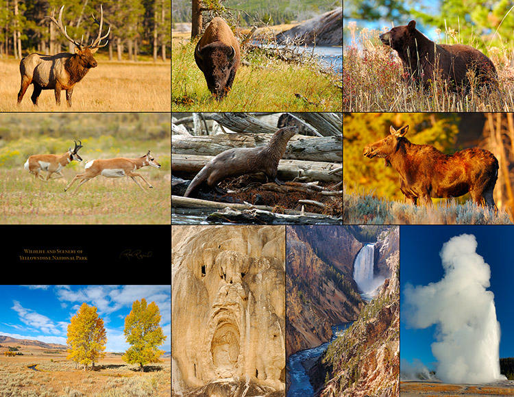Yellowstone_National_Park_SXLs