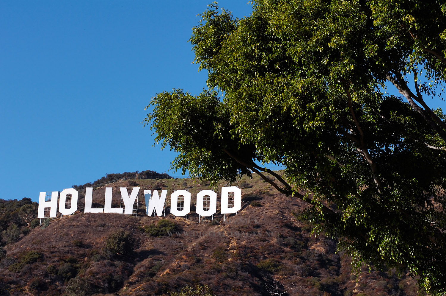 Hollywood Sign California